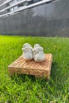 TRİKO YILDIZ DESENLİ YEŞİL PATİK TRİKO YILDIZ DESENLİ YEŞİL PATİK
