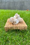 TRİKO KAHVERENGİ YILDIZ DESENLİ PATİK TRİKO KAHVERENGİ YILDIZ DESENLİ PATİK