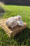 WAFFLE KUMAŞ KAYDIRMAZ TABANLI PATİK 