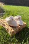 WAFFLE KUMAŞ KAYDIRMAZ TABANLI PATİK 