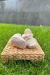 TRİKO KALP DESENLİ PATİK TRİKO KALP DESENLİ PATİK