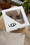 UGG TERLİK